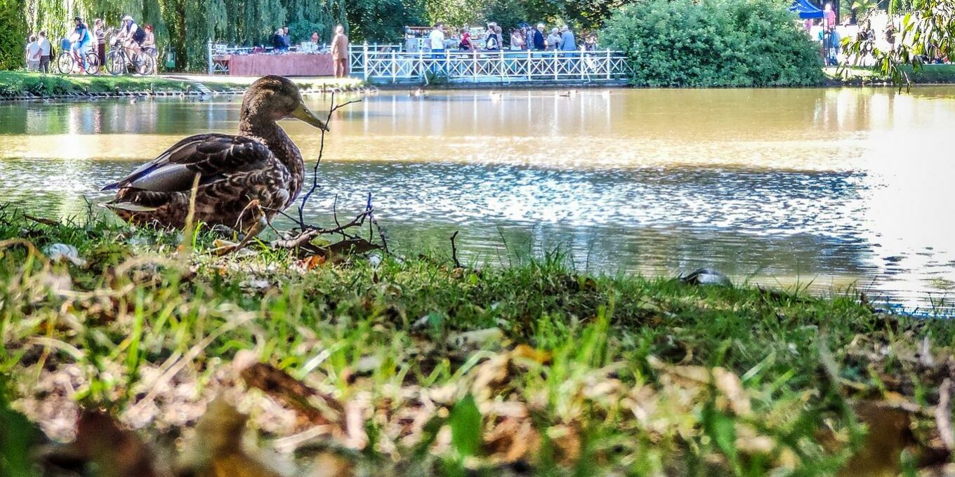 Wrzesień w Nałęczowie Wrzesień w Nałęczowie